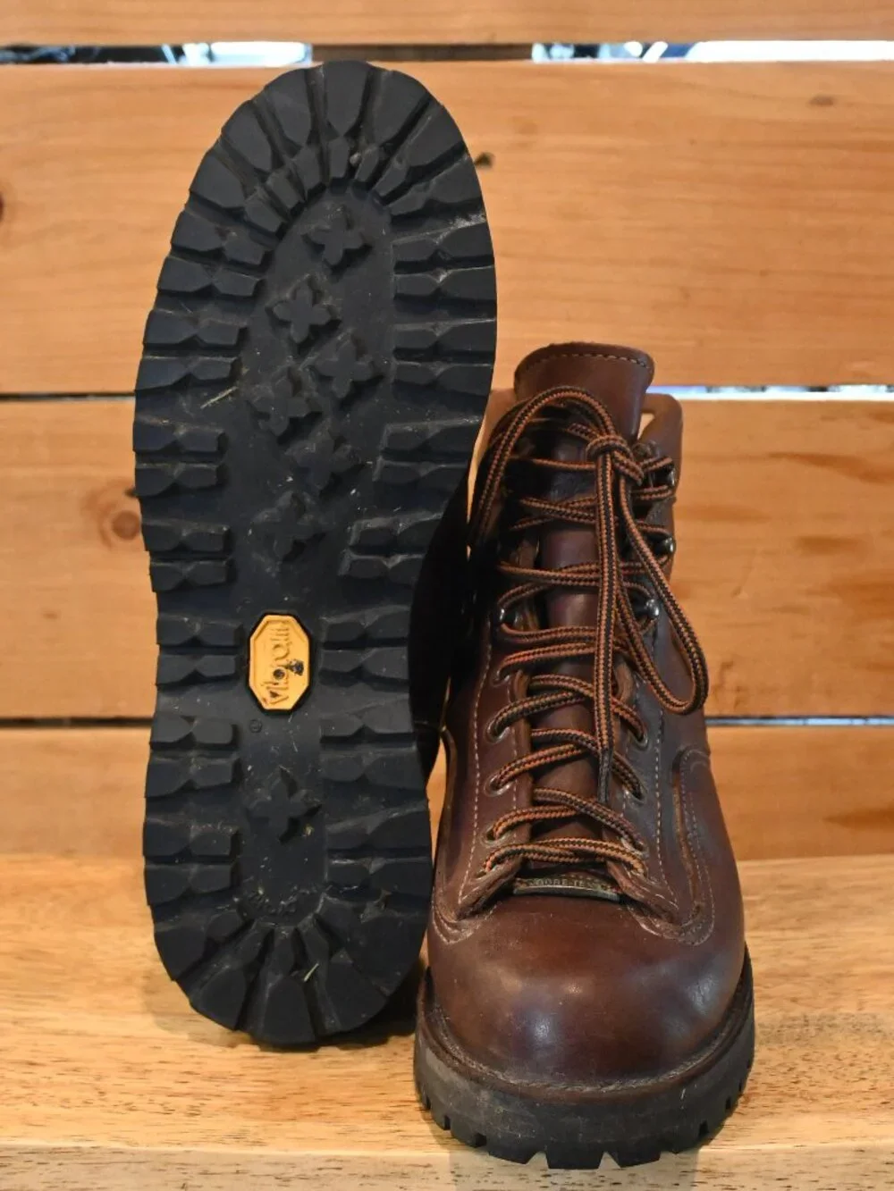Danner Explorer All-Leather Brown 6